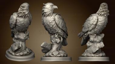 3D model Falcon (STL)